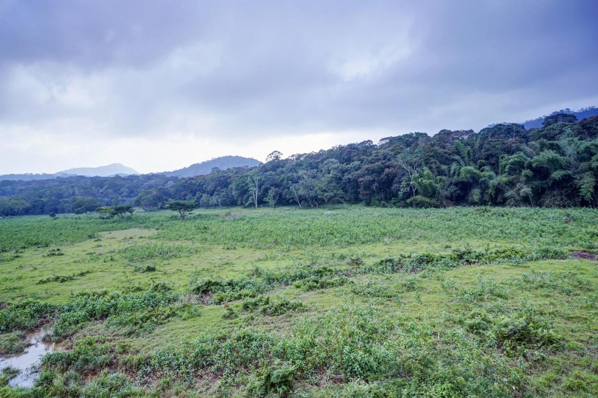 Oyo Flagship Meadow View Inn Thekkady Kültér fotó